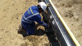 Imagen secundaria 1 de Piping